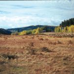 Colorado Stoness Photos (10 of 18)