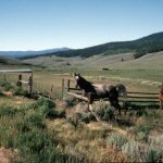 Colorado Stoness Photos (5 of 18)