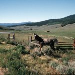 Colorado Stoness Photos (8 of 18)