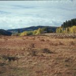 Colorado Stoness Photos (9 of 18)