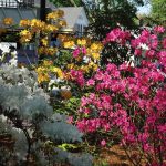 Cooking Ladies 47-5 Garden Party (5 of 18)