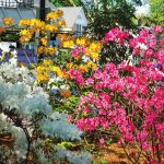 Cooking Ladies 47-5 Garden Party (6 of 18)