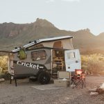 TAXA Cricket Big Bend-35 copy