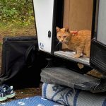 CatRVDoor