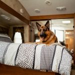 RexTrailerBed