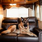 RexTrailerCouch