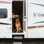RexTrailerDoor