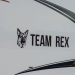 TeamRexSticker