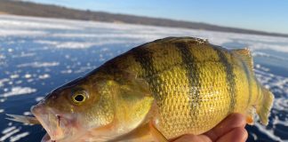 Ice Fishing