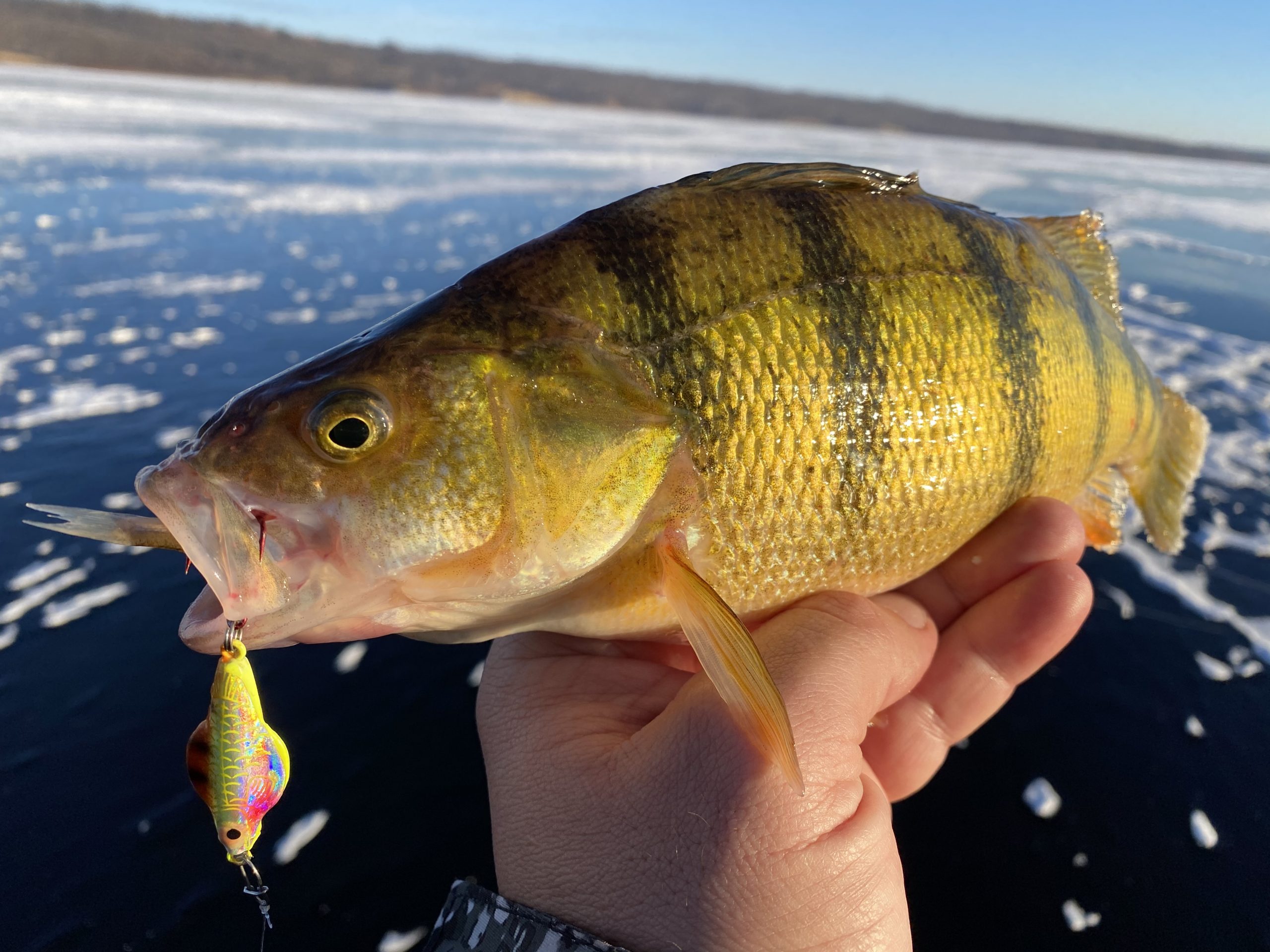 Ice Fishing for Perch  RV Lifestyle Magazine