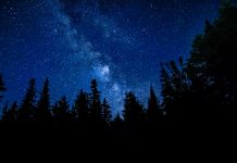 Quetico Provincial Park Dark Sky