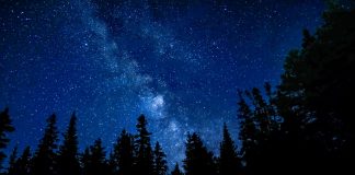 Quetico Provincial Park Dark Sky