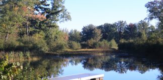 Bonnechere Park