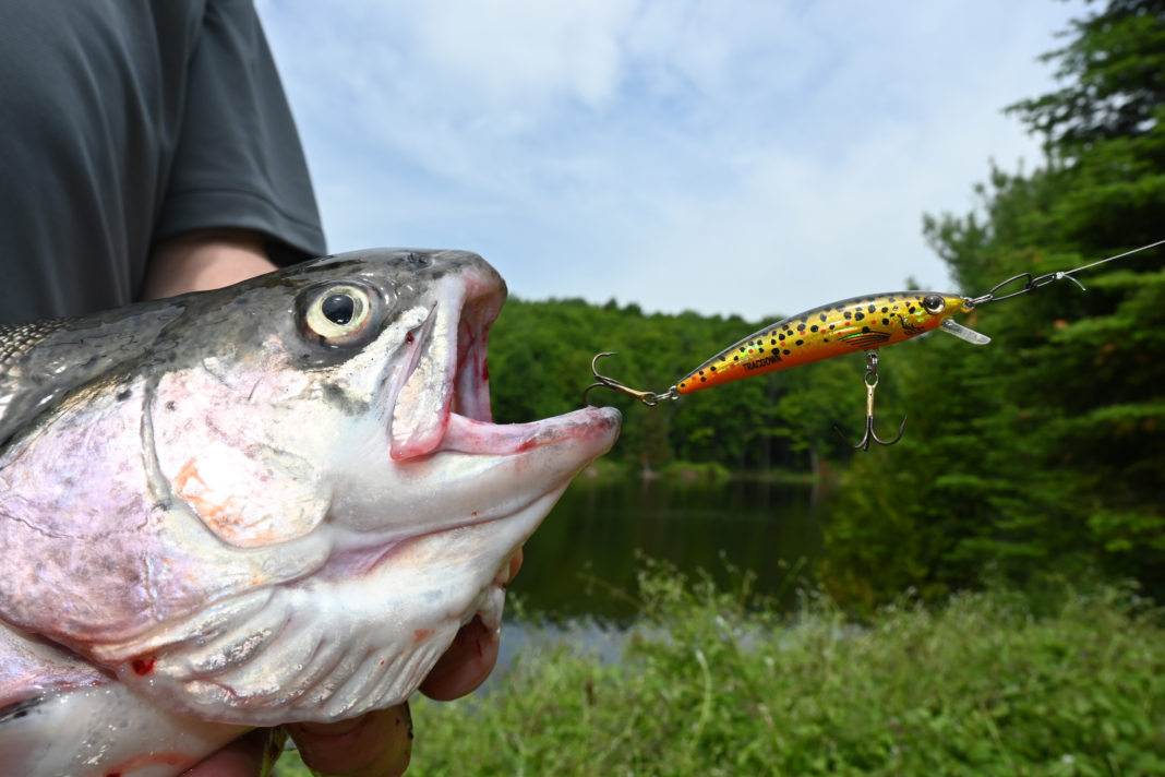 Bass Fish and Rod for Camper/RV