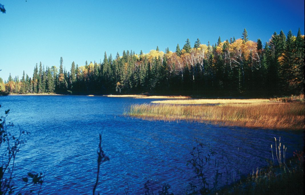 Prince Albert National Park