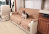 Sofa Saver by Canine Covers