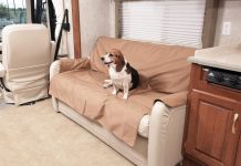 Sofa Saver by Canine Covers