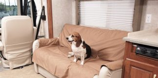 Sofa Saver by Canine Covers