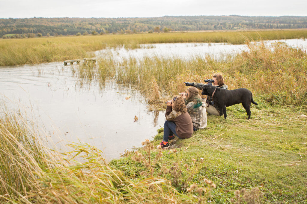 Birdwatchers at Calhoun Marsh, N.B. Photo by Ginger Thibodeau, ©DUC