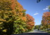 An autumn scene from Toronto, Canada