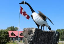 The most famous Canadian roadside attraction is the Canada Goose statue in Wawa, Ontario. Photo courtesy TVO.