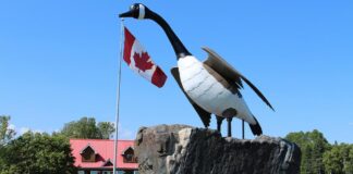 The most famous Canadian roadside attraction is the Canada Goose statue in Wawa, Ontario. Photo courtesy TVO.