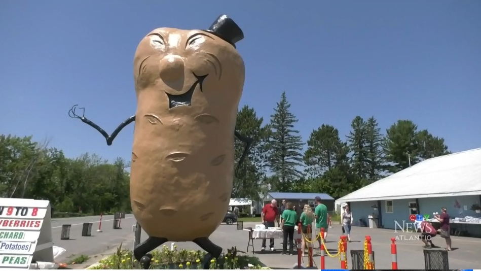 The Big Potato in Maugerville New Brunswick - photo courtesy CTV News Atlantic