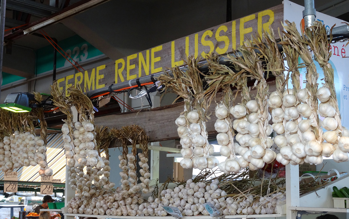 Farm-fresh garlic.