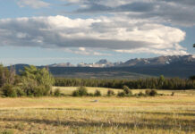 The Chilcotin Plateau