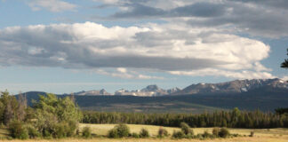 The Chilcotin Plateau