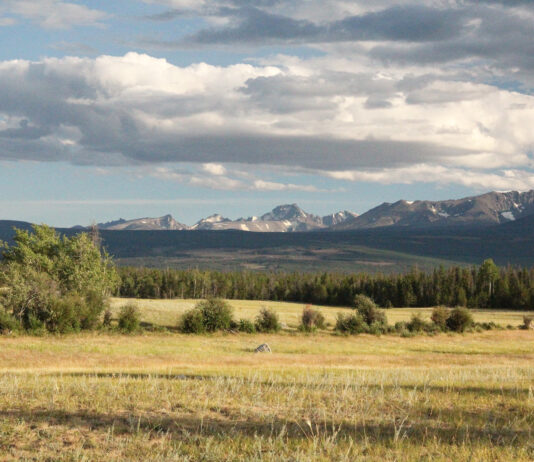 The Chilcotin Plateau