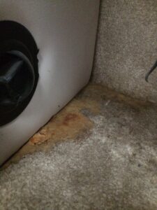 Mold can destroy RV walls, floors, and interior materials.