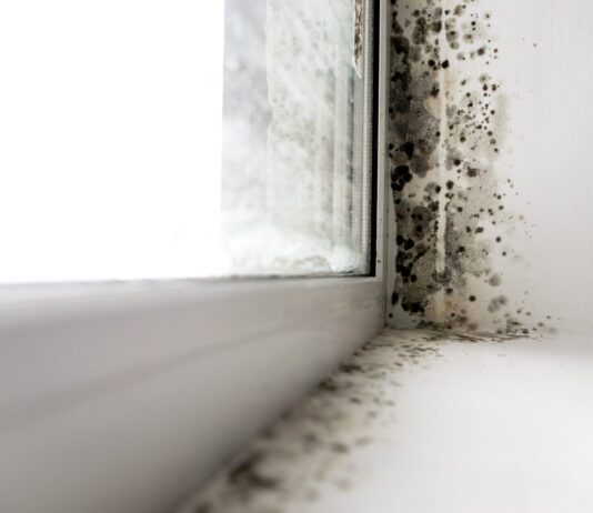 Mold in an RV