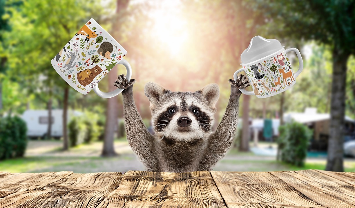 Camp Casual Raccoon