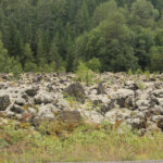 web-IMG_3459