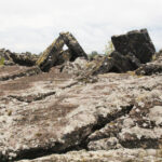 web-IMG_3478