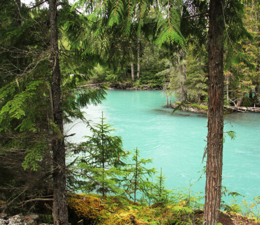 Nisga'a PP