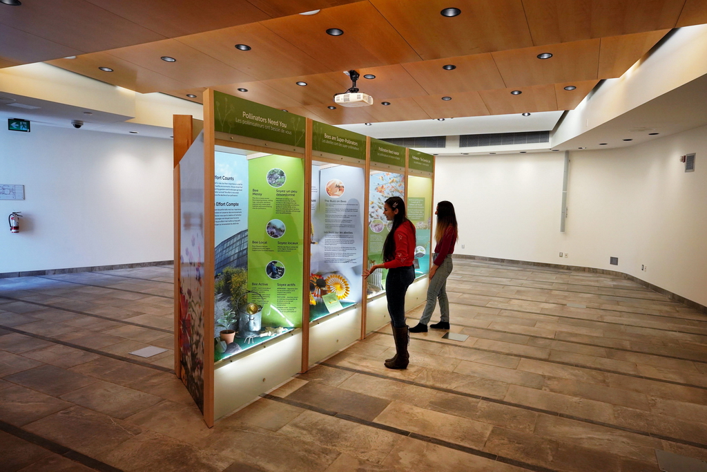 Niagara Falls Ontario Butterfly Conservatory Exhibit Space