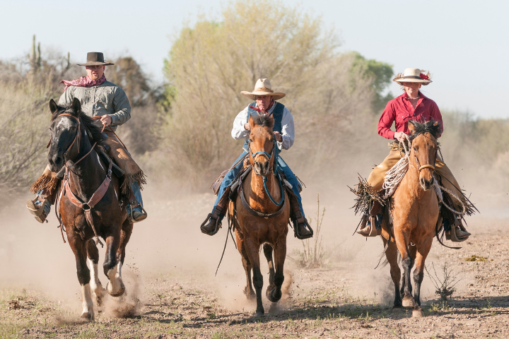 How Many Miles Can a Horse Travel in a Day: Unveiled Limits