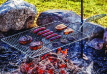 10 New Products for Grilling on the Go Stake and Grill by Stromberg Carlson