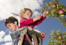 Five Fall RV Destinations – From Terego A photo opportunity in the orchards at Mauricie. Photo by MassawFoto.