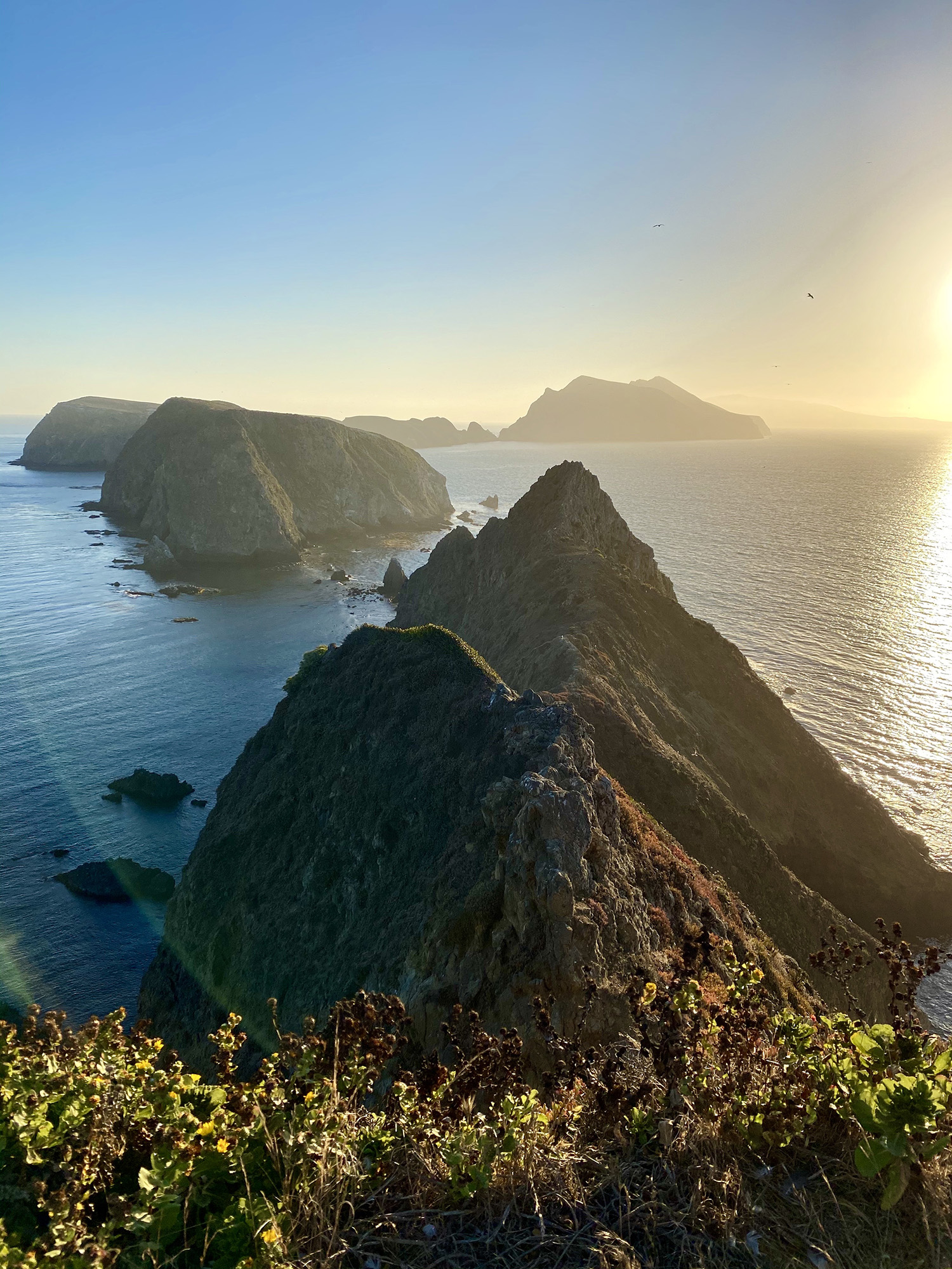 Channel Islands National Park at sunrise