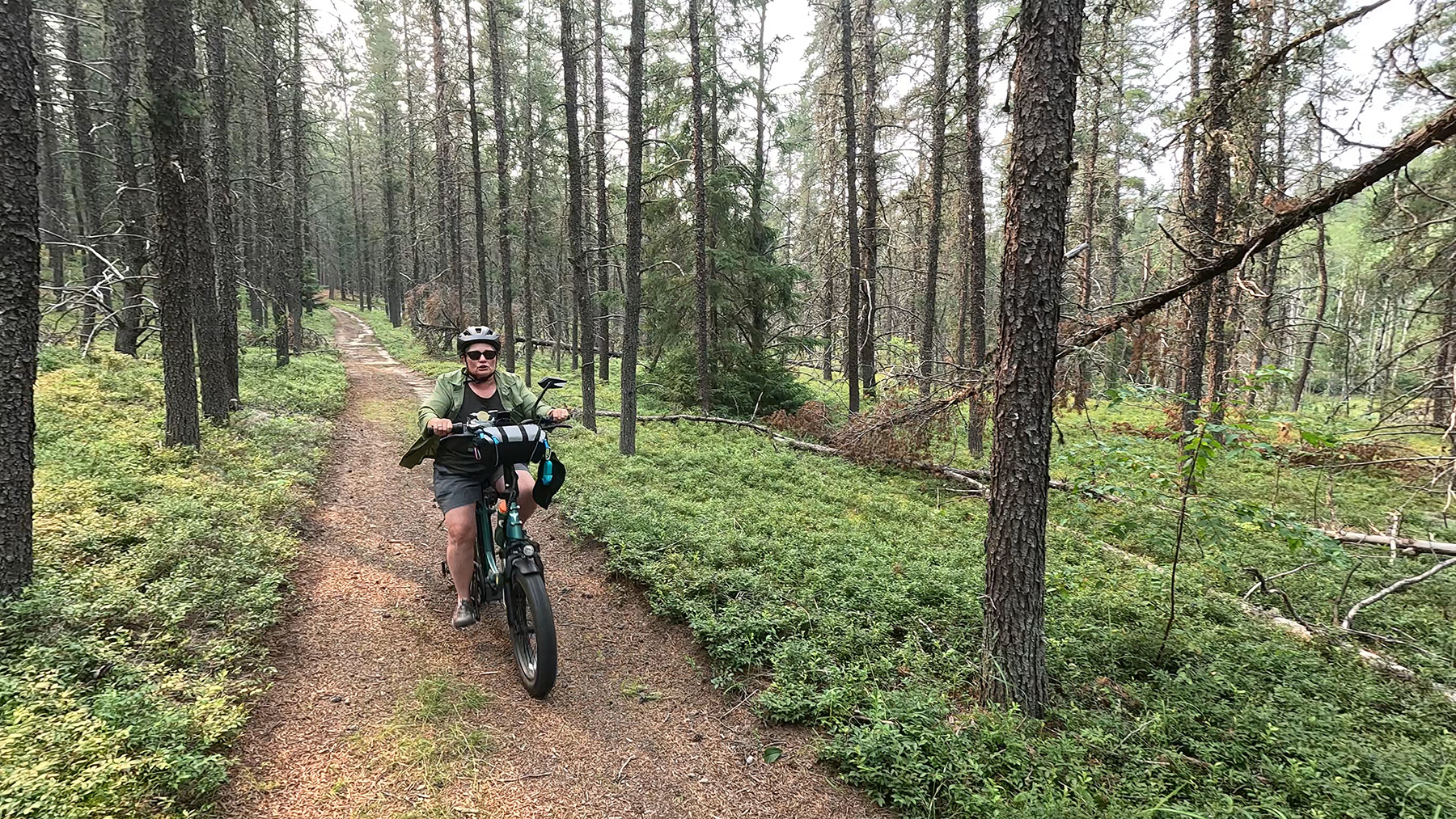 Boreal Route