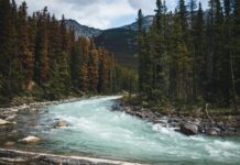 Canada Strong – Explore the National Parks FREE this Summer Jasper National Park has officially been named the best National Park to visit in Canada this summer, scoring 8.7 out of 10 overall. Image from Unsplash