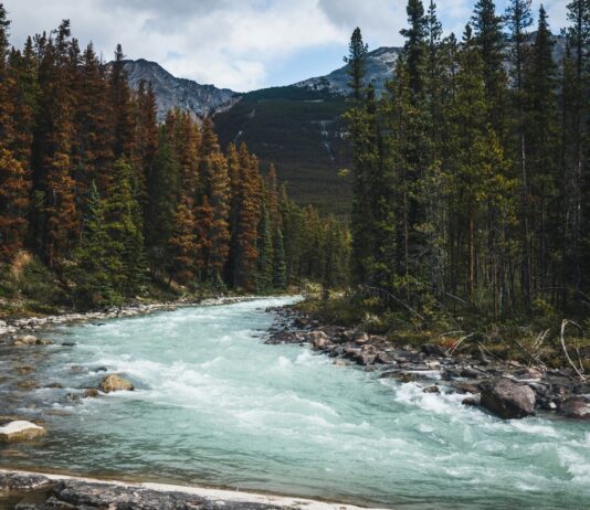 Canada Strong – Explore the National Parks FREE this Summer Jasper National Park has officially been named the best National Park to visit in Canada this summer, scoring 8.7 out of 10 overall. Image from Unsplash
