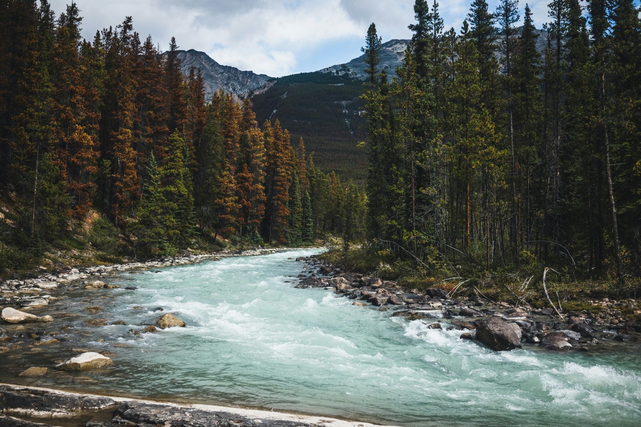 Canada Parks 1 - Jasper National Park Jasper National Park has officially been named the best National Park to visit in Canada this summer, scoring 8.7 out of 10 overall. Image from Unsplash